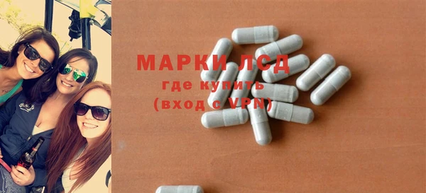 прущие грибы Абинск