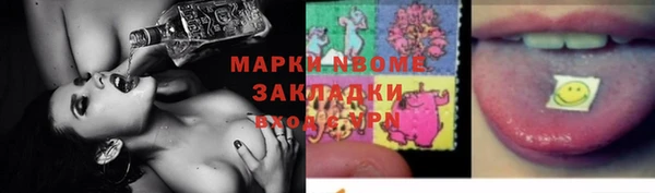прущие грибы Абинск