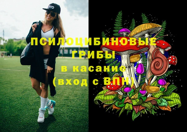 прущие грибы Абинск