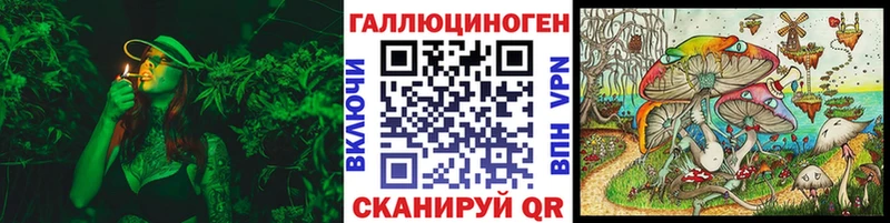 дарк нет наркотические препараты Чита Галлюциногенные грибы мицелий наркошоп